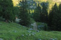2015-07-01_2Drijaggenalm (315).JPG